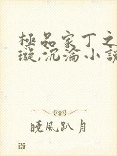 极品家丁之肖青璇,沉沦小说
