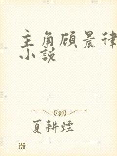 主角顾晨律师的小说
