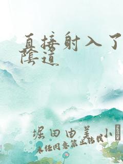 直接射入了她的阴道