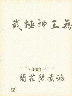 武极神王无弹窗