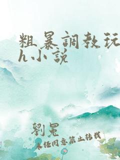 粗暴调教玩弄高h小说