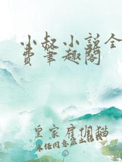 小叔小说全文免费笔趣阁