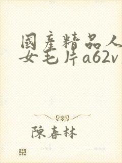 国产精品人妻熟女毛片a62v久久