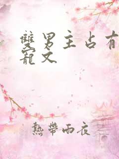 双男主占有欲甜宠文