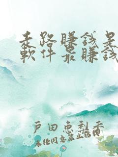 走路赚钱是什么软件最赚钱