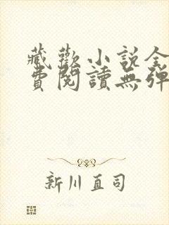 藏欢小说全文免费阅读无弹窗