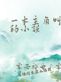 一本主角叫李凡的小说