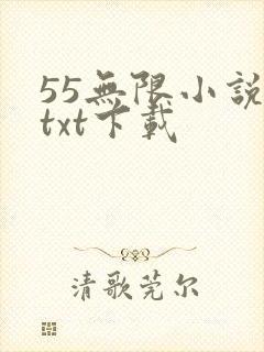55无限小说网txt下载