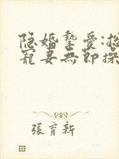 隐婚挚爱:总裁宠妻无节操