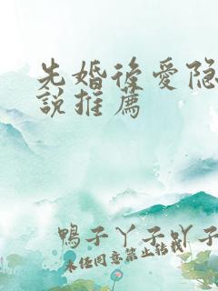 先婚后爱隐婚小说推荐