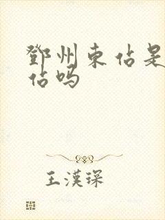 邓州东站是高铁站吗