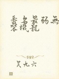番名最弱无败神装机龙