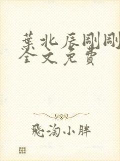 叶北辰刚刚更新全文免费