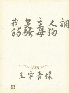 我是主人调教好的骚母狗