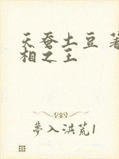 天蚕土豆 著万相之王