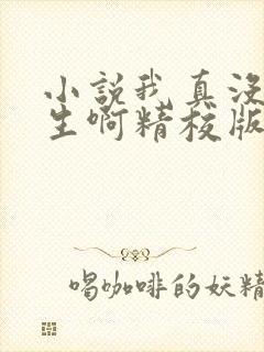 小说我真没想重生啊精校版 小说我真没想重生啊精校版