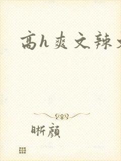 高h爽文辣文
