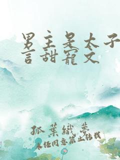 男主是太子的古言甜宠文 男主是太子的古言甜宠文