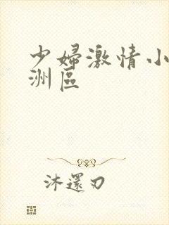 少妇激情小说亚洲区
