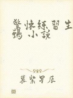 惊悚练习生 妄鸦 小说