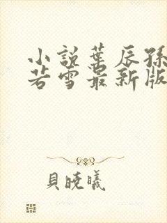 小说叶辰孙怡夏若雪最新版