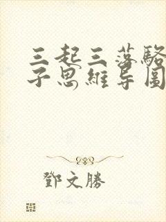 三起三落骆驼祥子思维导图