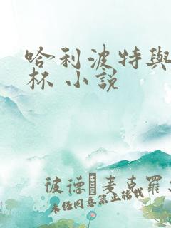 哈利波特与火焰杯 小说