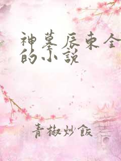 神墓辰东全免费的小说