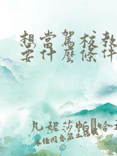 想当驾校教练需要什么条件