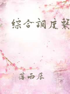 综合调度系统