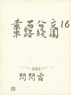 黄石公交16路车路线图
