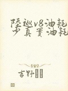 陆巡v8油耗多少真实油耗