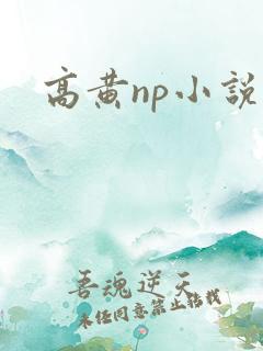 高黄np小说肉