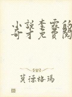 小说李霖的官场奇才免费阅读