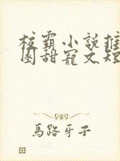 校霸小说推荐校园甜宠文短篇