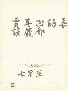 贾平凹的长篇小说废都