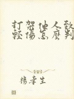 打架他人致两处轻伤怎么判
