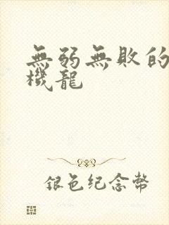 无弱无败的神装机龙