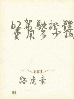 b2驾驶证体检费用多少钱