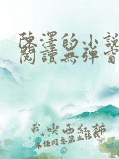 陈泽的小说免费阅读无弹窗