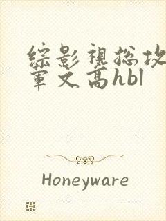 综影视总攻肉多荤文高hbl