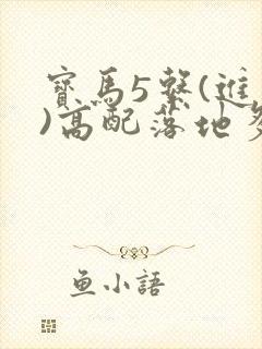 宝马5系(进口)高配落地多少钱