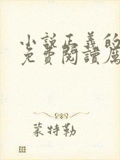 小说正义的使命免费阅读厉元朗