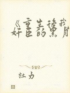 《重生后我成了奸臣的黑月光》