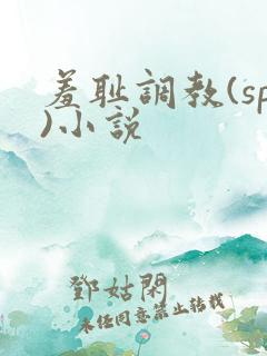 羞耻调教(sp)小说