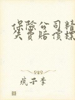 保险公司精神损失费赔偿标准
