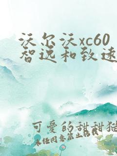 沃尔沃xc60智逸和致远 沃尔沃xc60智逸和致远