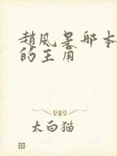 赵风是哪本小说的主角