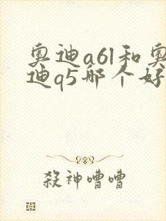 奥迪a6l和奥迪q5哪个好?