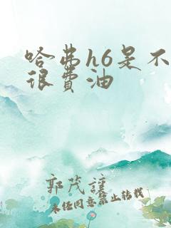 哈弗h6是不是很费油